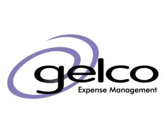 Gelco-Kostenmanagement