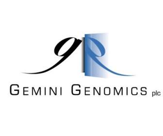 Gemini геномики