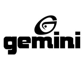 Società Di Prodotti Audio Gemini