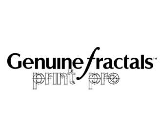 Fractales Genuino Printpro