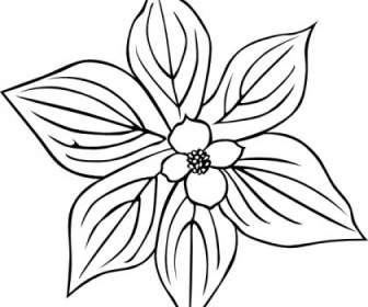 GG Cornus Canadensis Esquema Clip Art