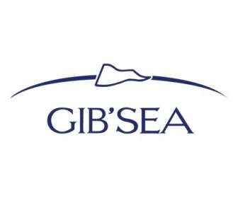 Gibsea