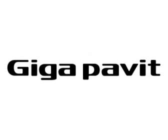 Pavit Giga