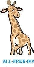 Giraffa