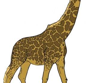 Girafa Clip-art