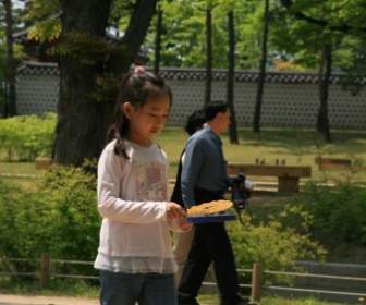 Jeune Fille Dans Un Palais Coréen