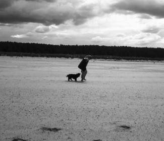 Girl Walking Dog On Beach