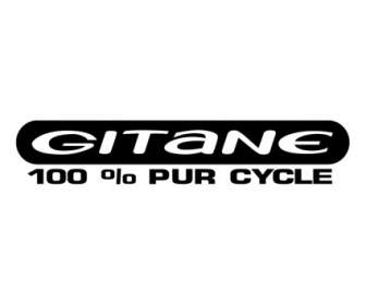 Gitane Siklus