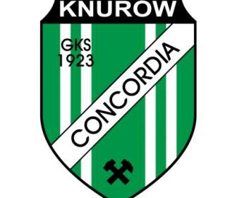 Knurow คอนคอร์เดีย Gks