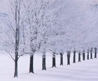 明镜州立公园壁纸冬季性质