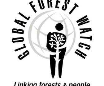 رصد الغابات العالمية