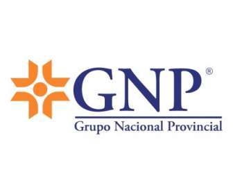 國民生產總值 Grupo 全國省級