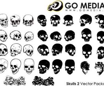 Allez Médias Produit Vectoriel Multi-angles Crâne