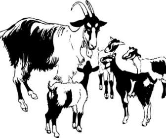 Goat And Kids Clip Art