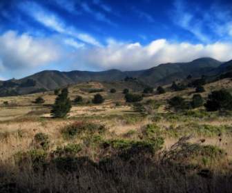 goga rancho california landscape