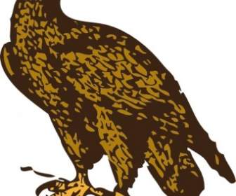águia Dourada Clip-art