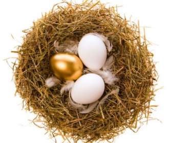 金色的蛋巢高清圖片