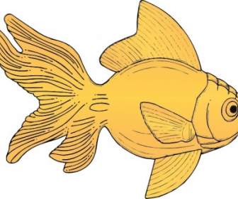 黄金の魚のクリップアート