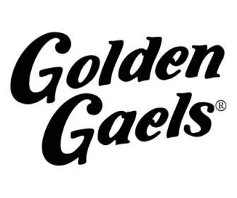 Vàng Gaels