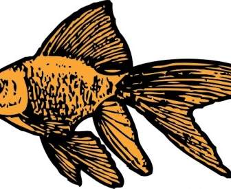 金魚をクリップアートします。