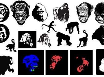 Monos Y Gorilas Gomedia Producen Vector