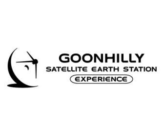 Goonhilly