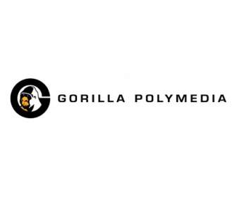 Gorille Polymédia