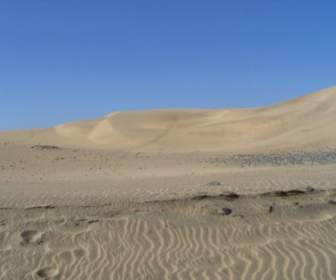 그 란 카나리아 사막 모래