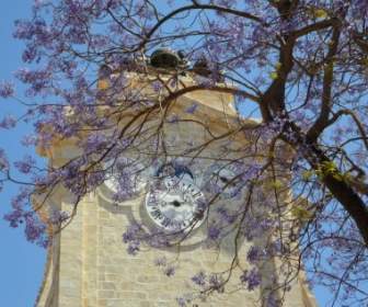 Grand Master S Palace Tower Clock