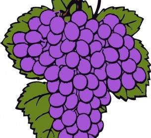 Grape Cluster Clip Art