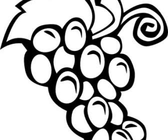 Grape Vine Clip Art