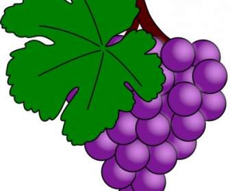 Grape With Vine Leaf Clip Art