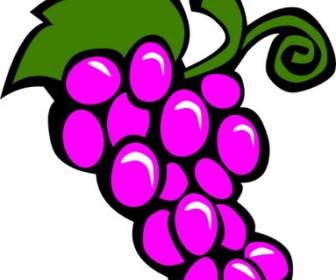Grapes Vine Clip Art