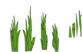 Gras-Blades Und Klumpen-ClipArt-Grafik