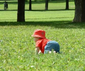 трава парк для детей