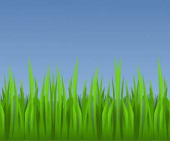 Herbe Clipart