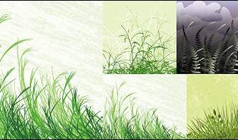 Rumput Bahan Vektor