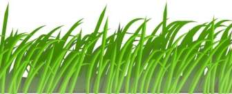 Herbe Texture Clipart