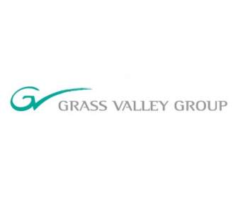 GRASS Valley Kelompok