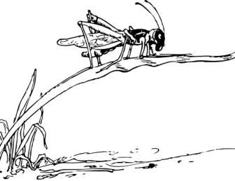 Grasshopper On Blade Of Grass Clip Art