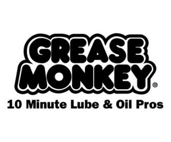 Graisse Monkey