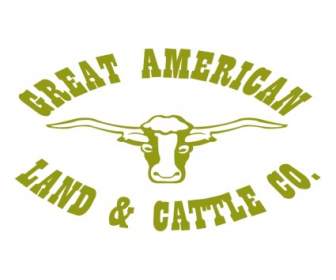 Große Amerikanische Land Rinder