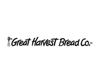 Wielkie żniwo Chleb