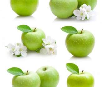 รูปภาพแอปเปิ้ลเขียว Hd