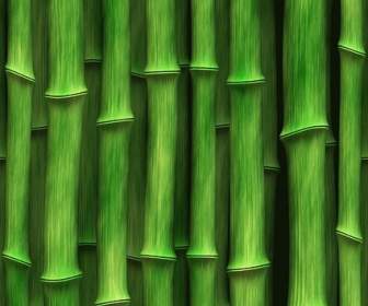 Grüner Bambus-Hintergrundbild