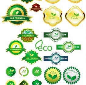 Vector De La Etiqueta Ecológica Verde