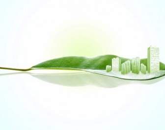 Imagen De Alta Definición De Entorno Verde