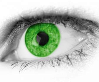 Green Eye Detail