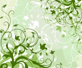 Illustration Vectorielle Fond Floral Vert