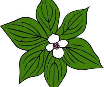 زهرة خضراء قصاصة فنية